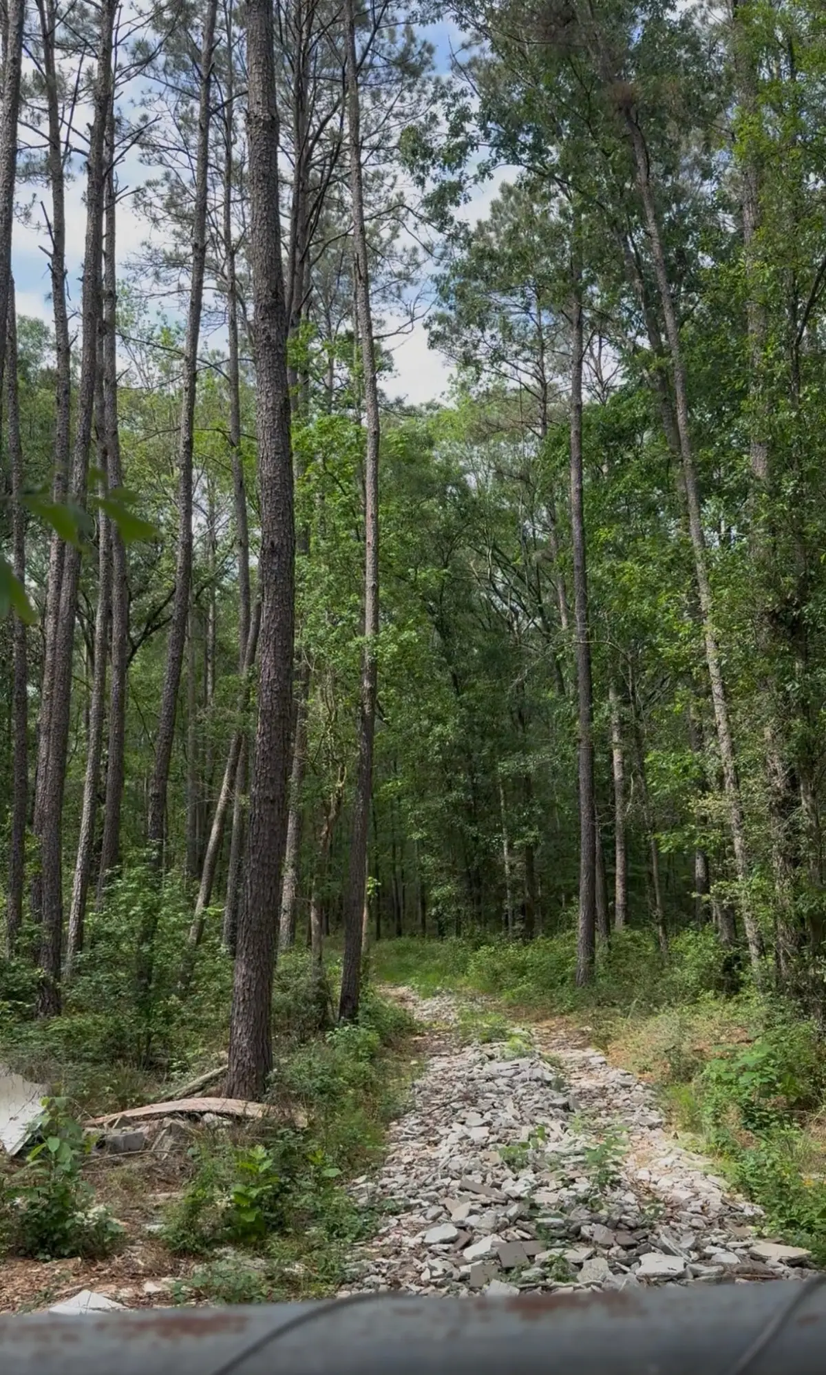 0 Old Hwy 105 E, Cleveland, TX 77327 - #1