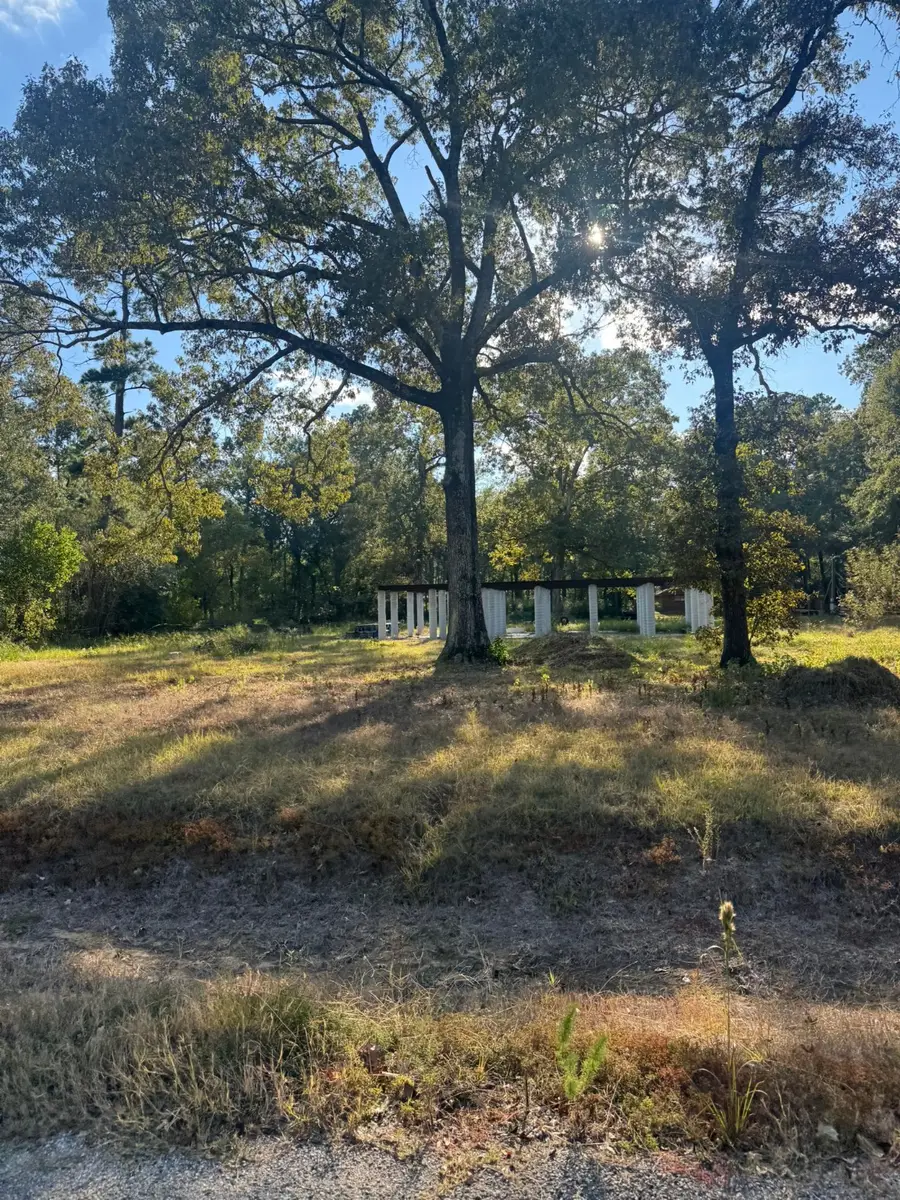 162 Linnwood Drive, Woodbranch, TX 77357 - Image #2