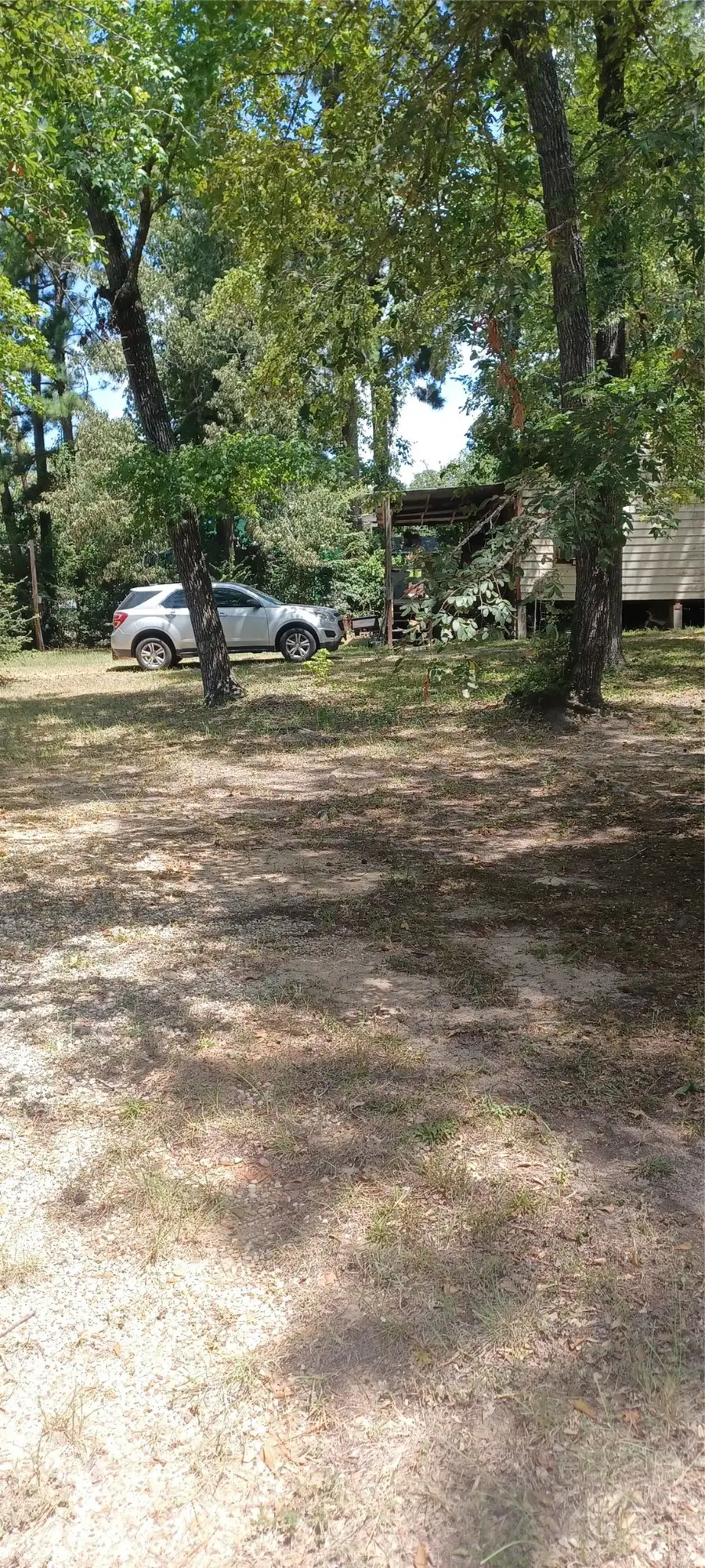 257 Hollow Oak, Livingston, TX 77351 - #2