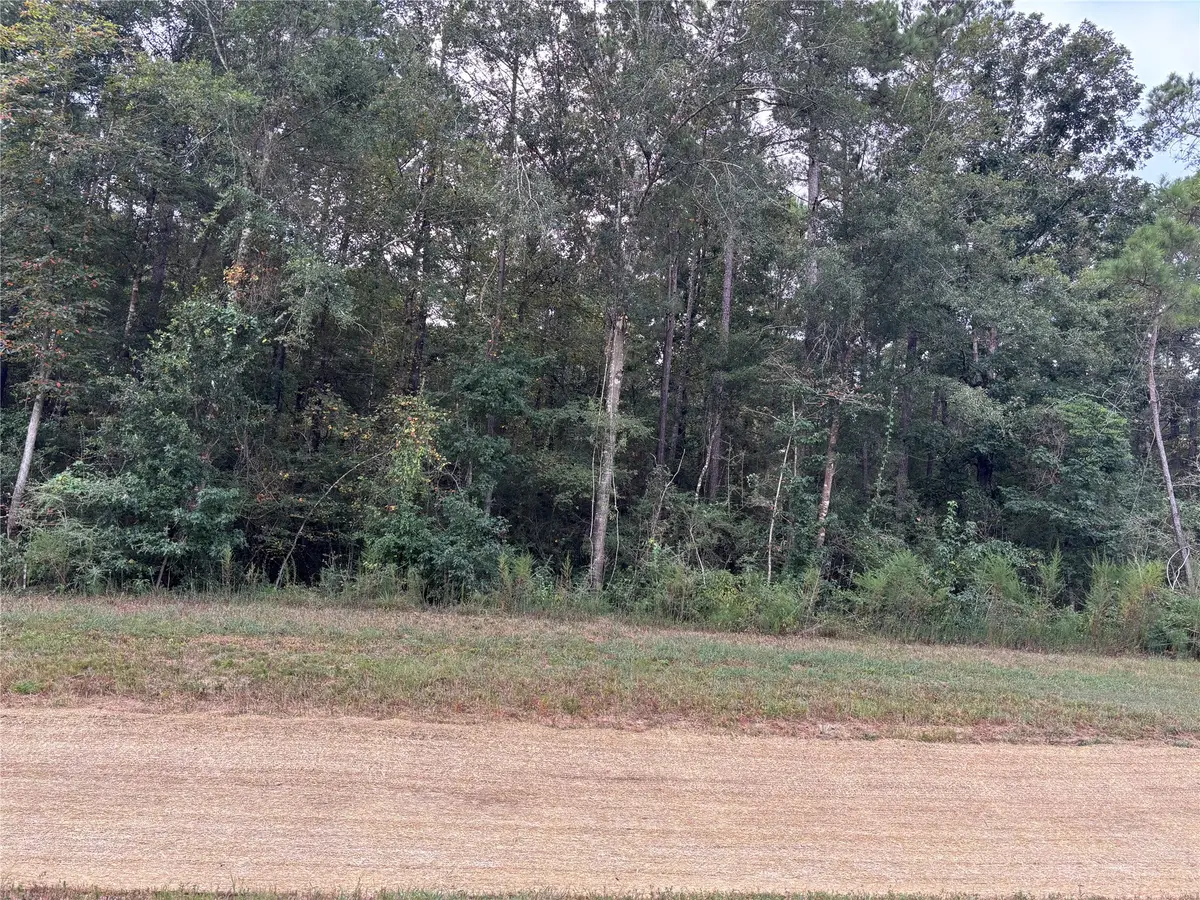 15223 Forest Grove Drive, Willis, TX 77378 - #1