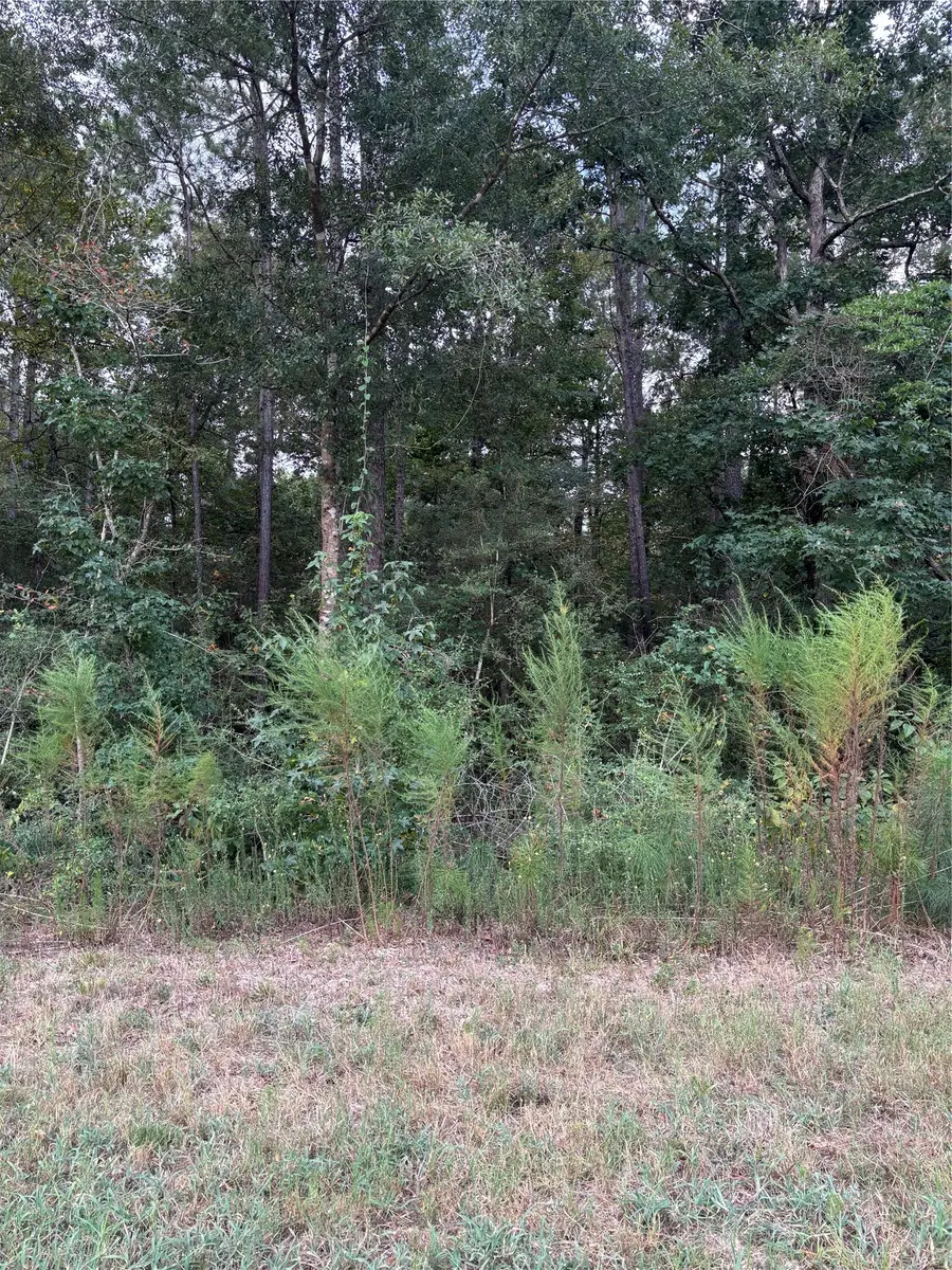 15223 Forest Grove Drive, Willis, TX 77378 - #2