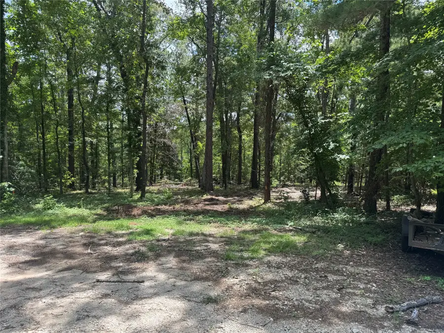 107 Pine High Lane, Brookeland, TX 75931 - #2