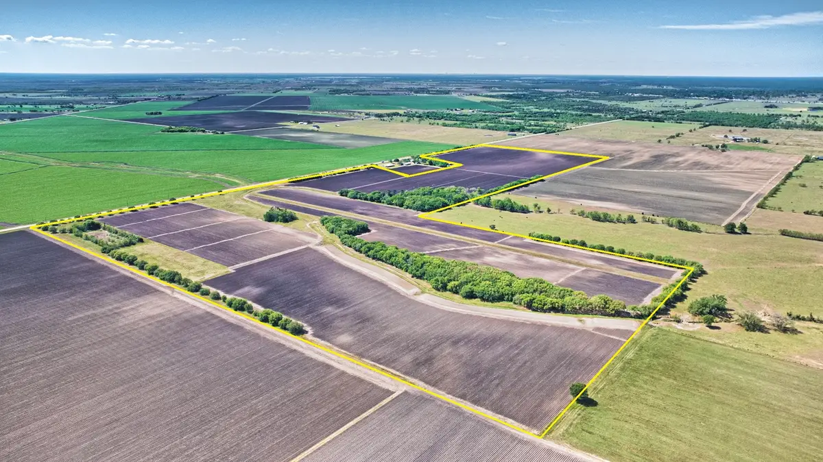 000 Fm 1462 Road, Damon, TX 77430 - #1