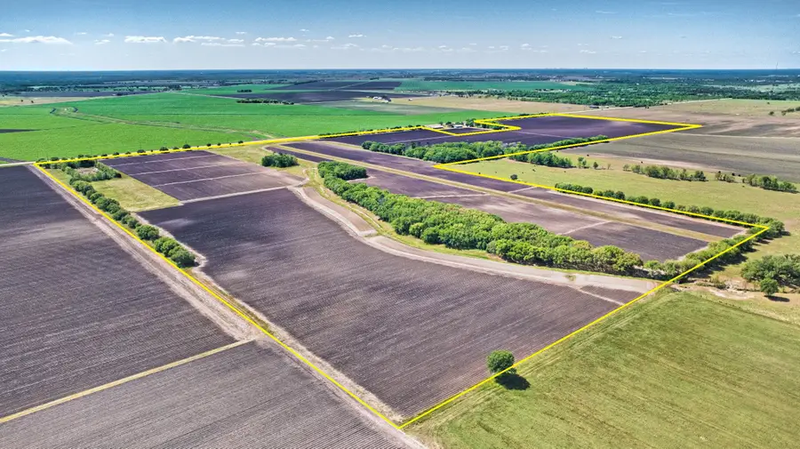 000 Fm 1462 Road, Damon, TX 77430 - #3