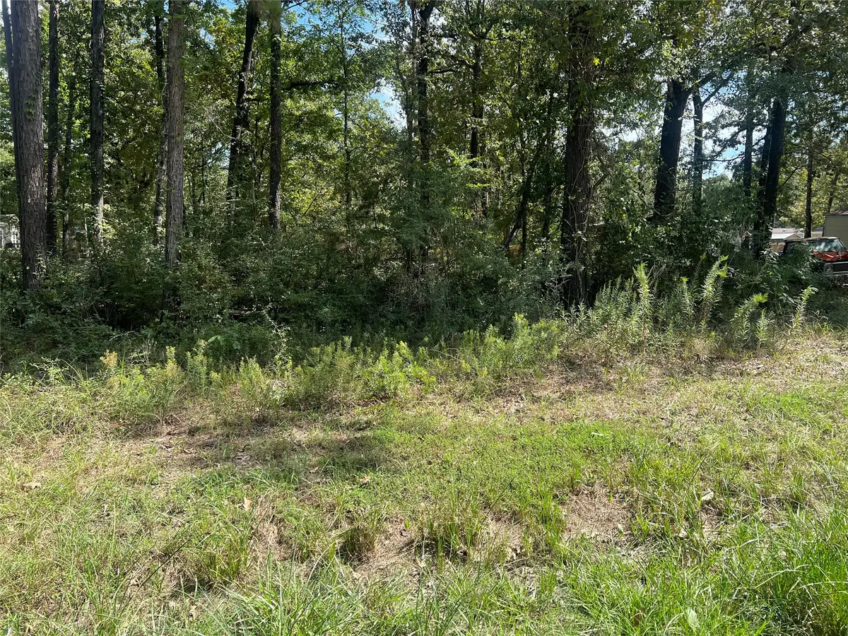 TBD Meridian Lot 22, Livingston, TX 77351 - #1