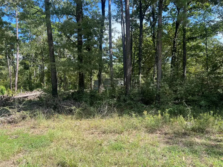 TBD Meridian Lot 22, Livingston, TX 77351 - #3