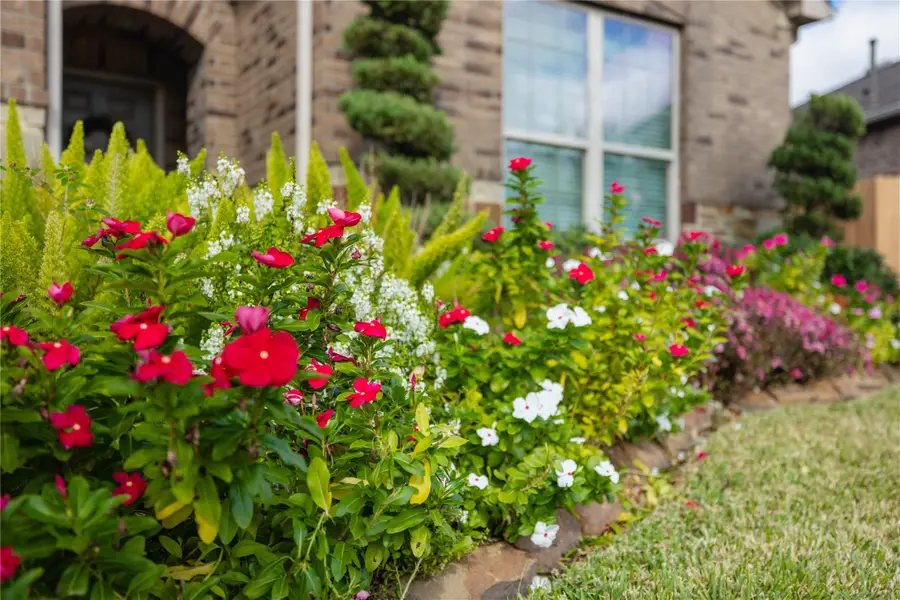 653 Iago Court, League City, TX 77573 - Image #3