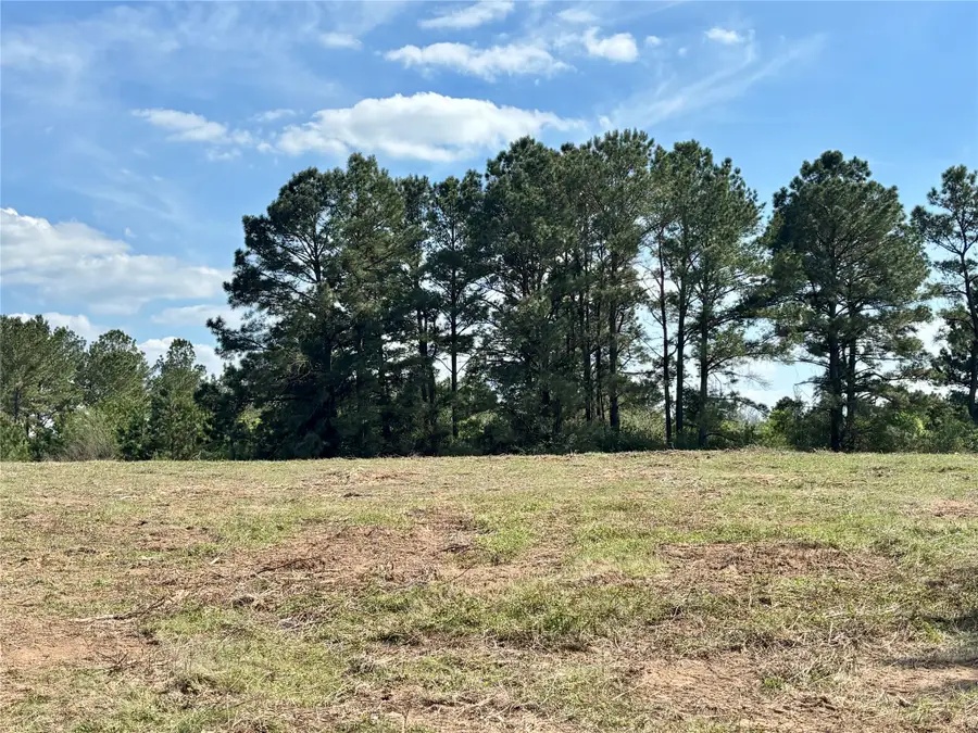 TBD County Road 408, Navasota, TX 77868 - #2