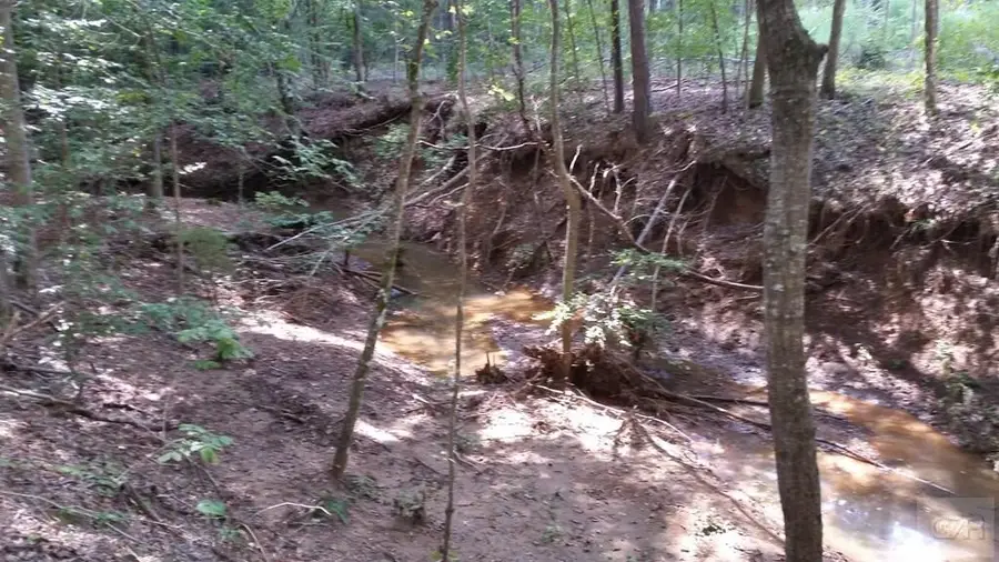 000 County Rd 203, San Augustine, TX 75972 - #2