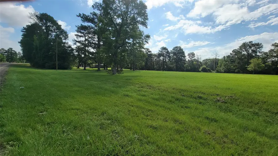 1333 S Fm 1988, Livingston, TX 77351 - #3