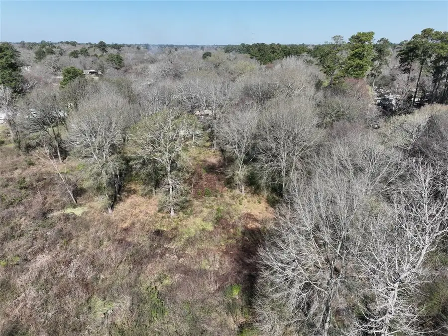 48 Rollingwood Street, Pinehurst, TX 77362 - #2