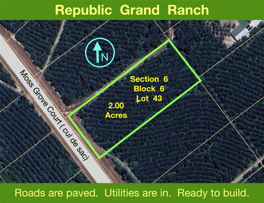11855 Moss Grove Court, Willis, TX 77378 - #3