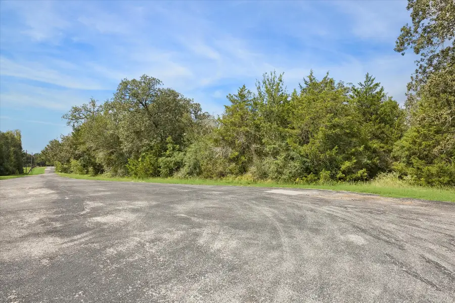 150 Lola Lane, Bellville, TX 77418 - #2