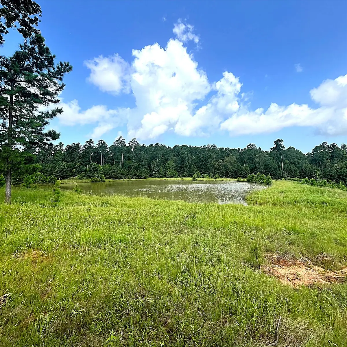 11833 Fm 1119, Leona, TX 75850 - Image #1