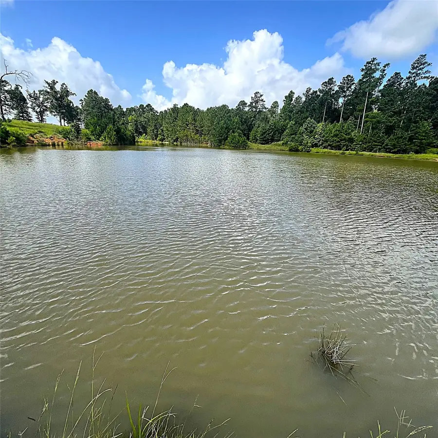 11833 Fm 1119, Leona, TX 75850 - Image #2