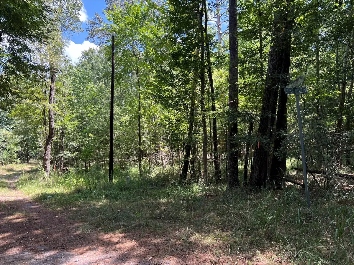 415 Rio Vista Drive, Livingston Onalaska, TX 77352 - #1