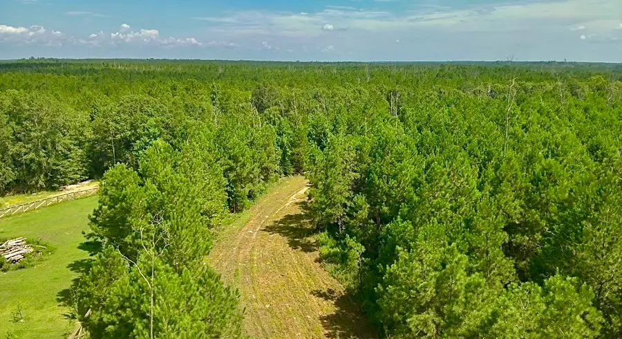 81363 George Sanner Rd, Village Mills, TX 77663 - #2