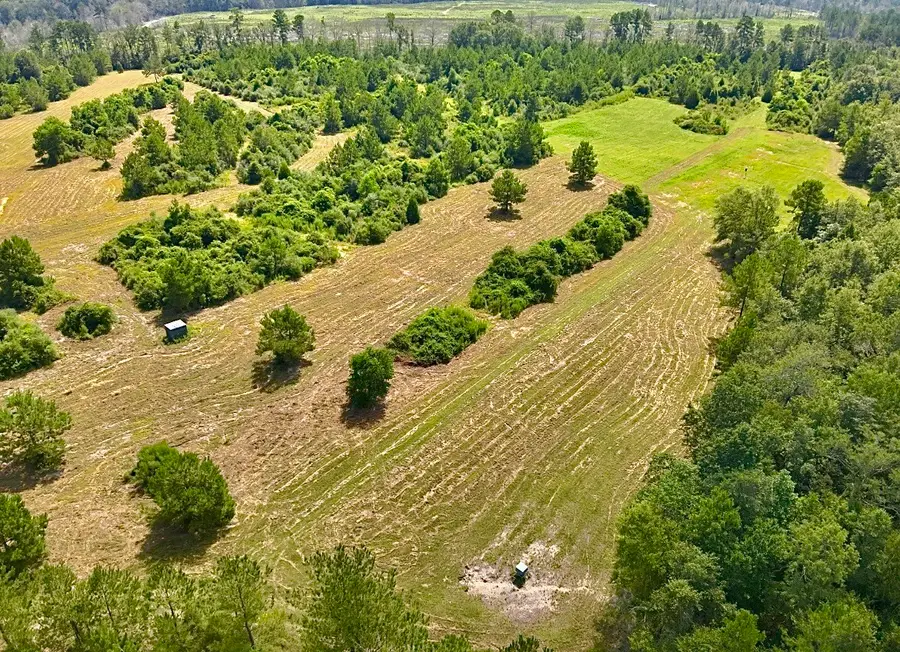81363 George Sanner Rd, Village Mills, TX 77663 - #3