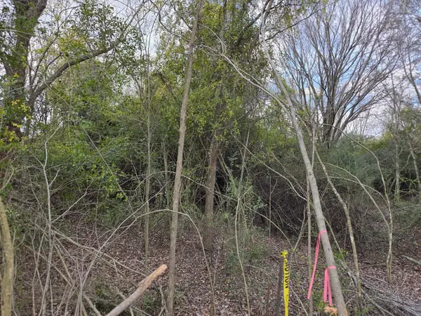 TBD Alamo Street, Houston, TX 77048