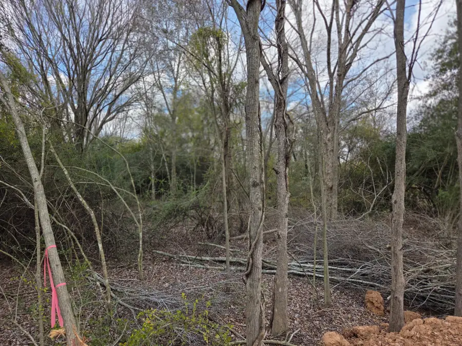 TBD Alamo Street, Houston, TX 77048 - #2