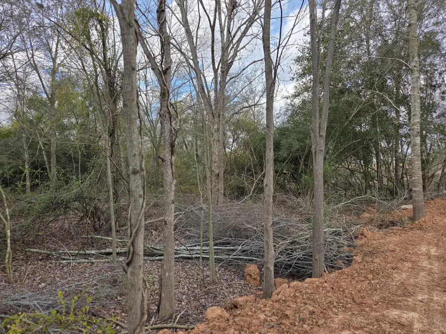 TBD Alamo Street, Houston, TX 77048 - #3