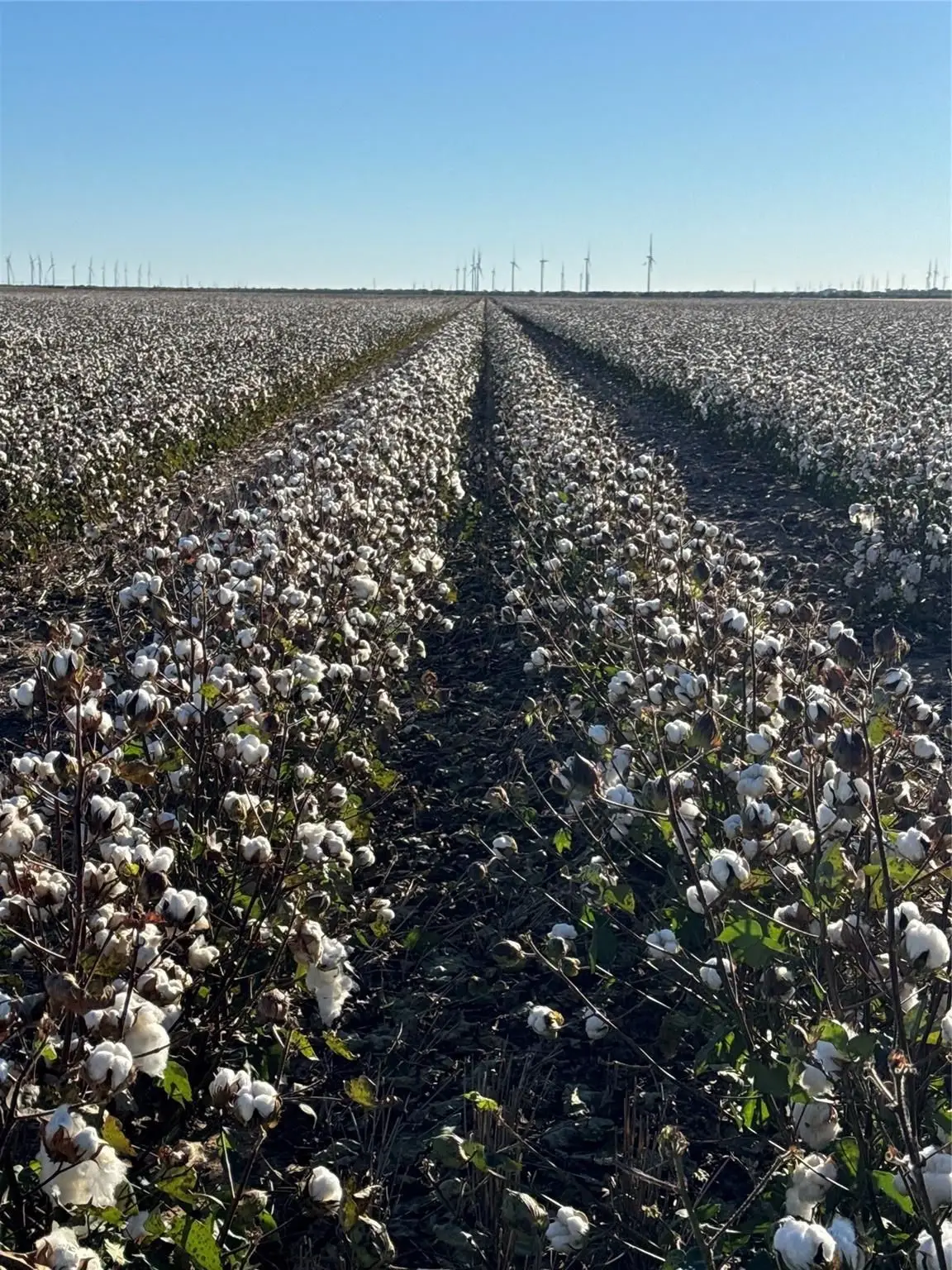 00 County Road 164, Weinert, TX 76388 - Image #1