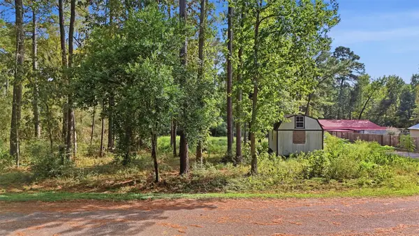 159 Gazelle Loop, Onalaska, TX 77360