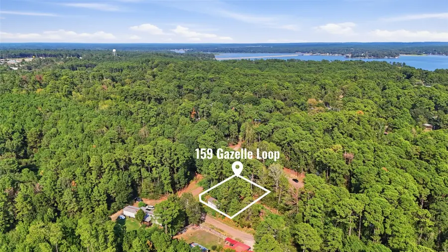 159 Gazelle Loop, Onalaska, TX 77360 - #2