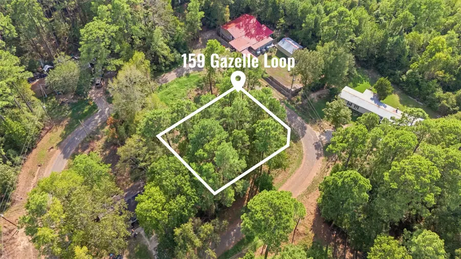 159 Gazelle Loop, Onalaska, TX 77360 - #3