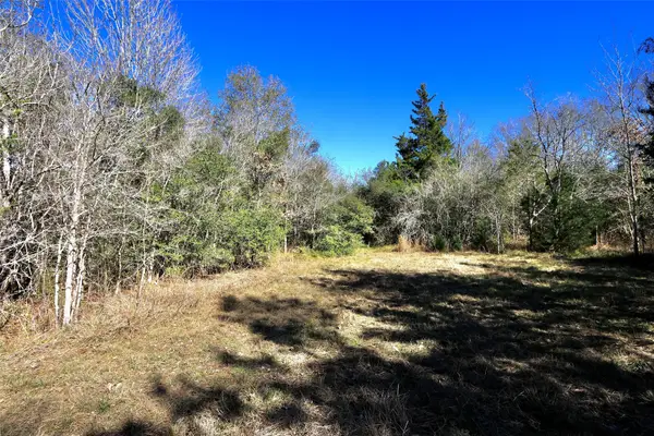 5.003 Acres Winding Meadow Drive, Bedias, TX 77831