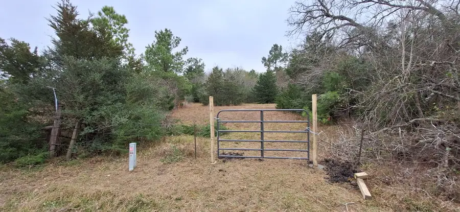 5.003 Acres Winding Meadow Drive, Bedias, TX 77831 - #3