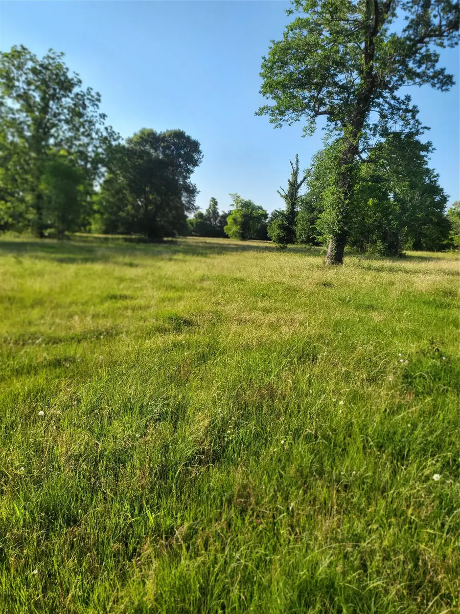 799 East Taylor Lake Circle, Livingston, TX 77351 - #2