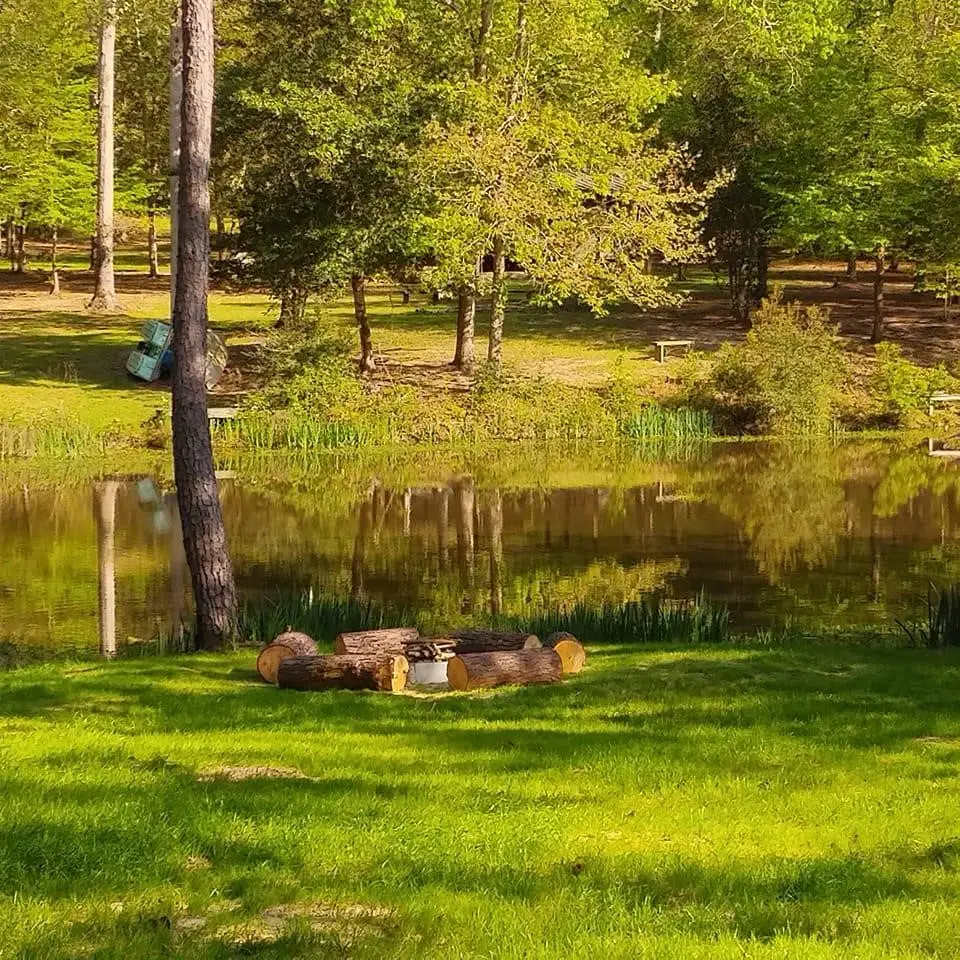 287 Johnny Cash Road, Livingston, TX 77351 - #1