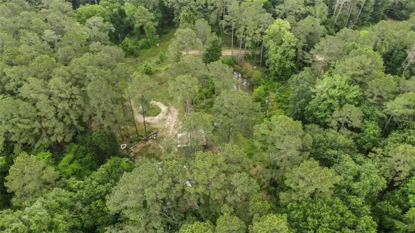 10000 Bentley Drive, Hockley, TX 77447