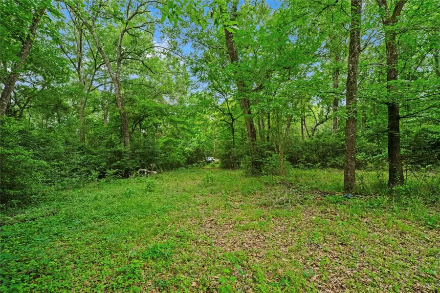 10000 Bentley Drive, Hockley, TX 77447 - Image #3