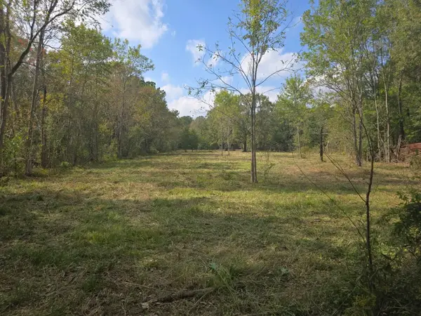 417 County Road 6881 N, Dayton, TX 77535