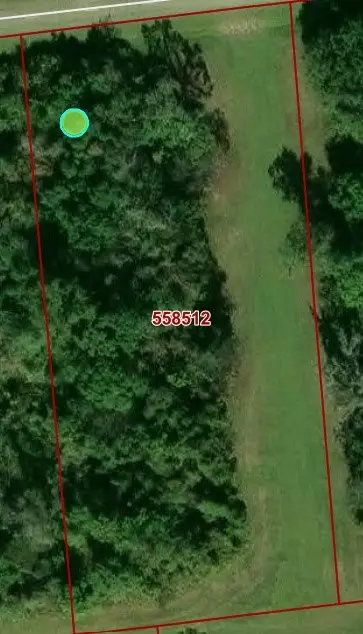 1103 W Point Drive, Rosharon, TX 77583 - #2
