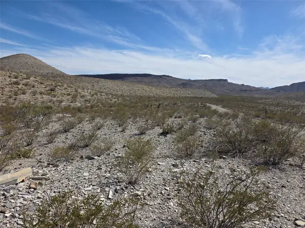 00001 Bob Cat, Study Butte Terlingua, TX 78952