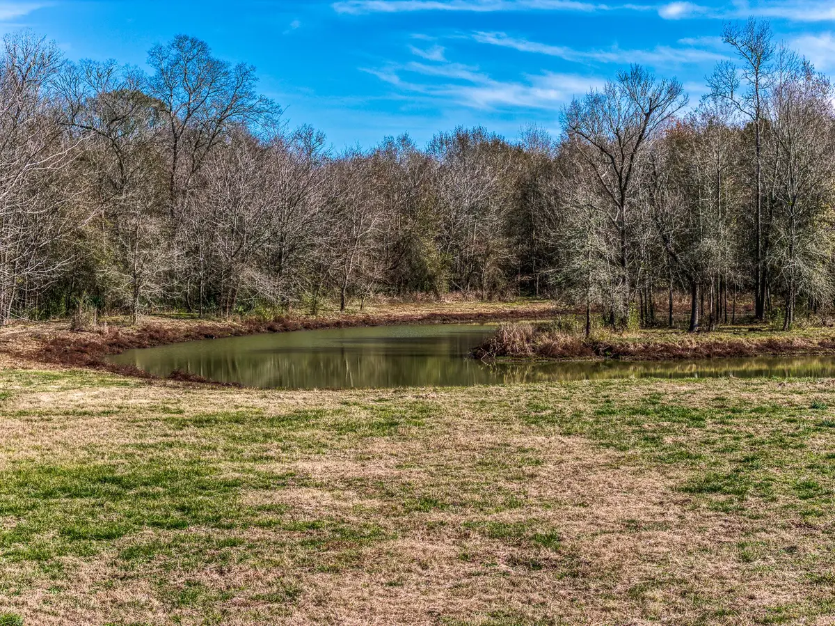 5280 Whitaker Way, Anderson, TX 77830 - #1