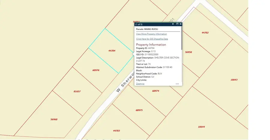 145 W Sherwood Drive, Livingston, TX 77351 - Image #3