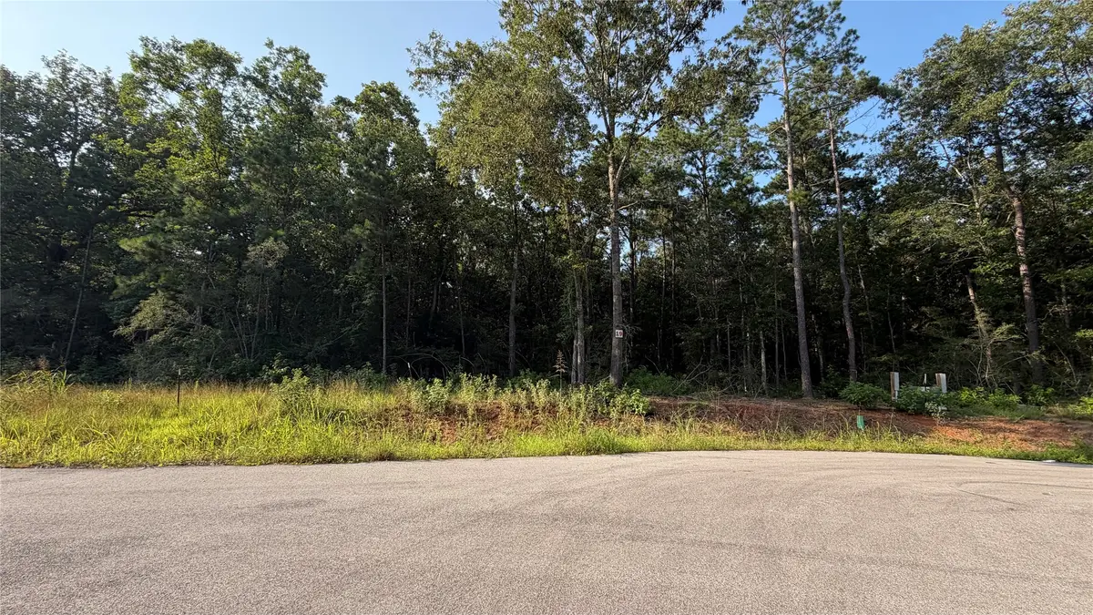 230 County Road 6311, Dayton, TX 77535 - #1