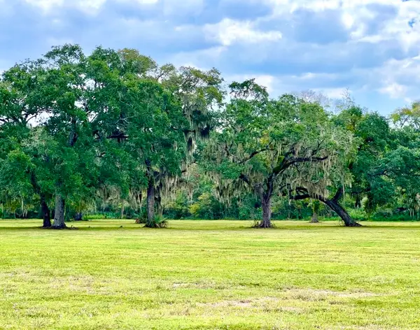 4239 Cr 348, Brazoria, TX 77422