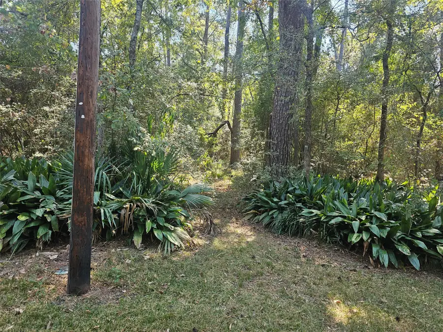 0 Elmore, Willis, TX 77318 - Image #2