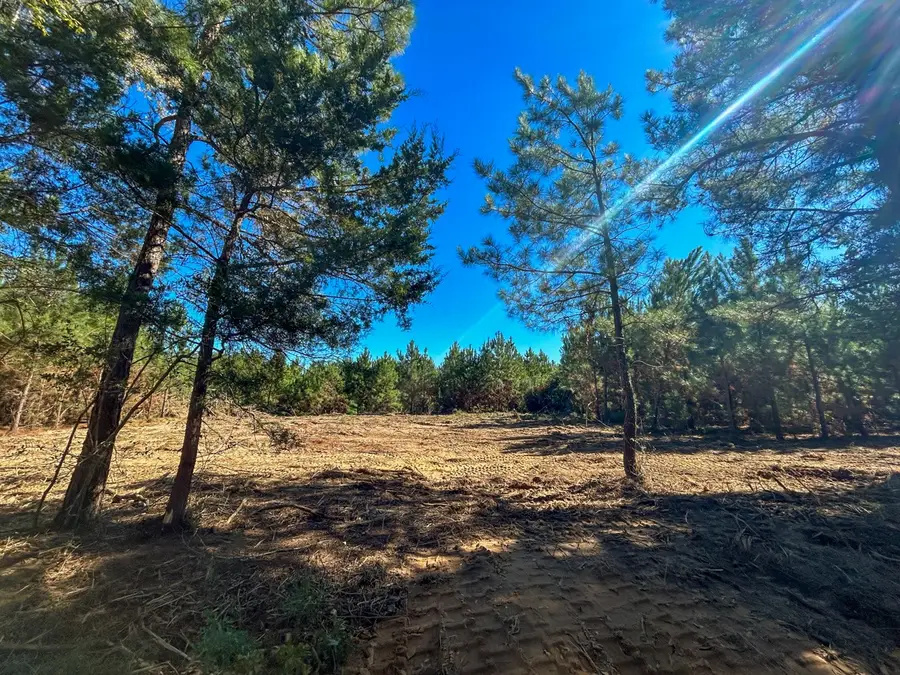 6 & 7 County Road 3121, Long Branch, TX 75669 - #3