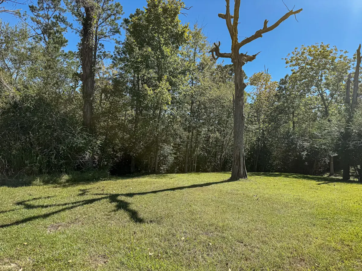 142 W Hickory Cove, Onalaska, TX 77360 - Image #1