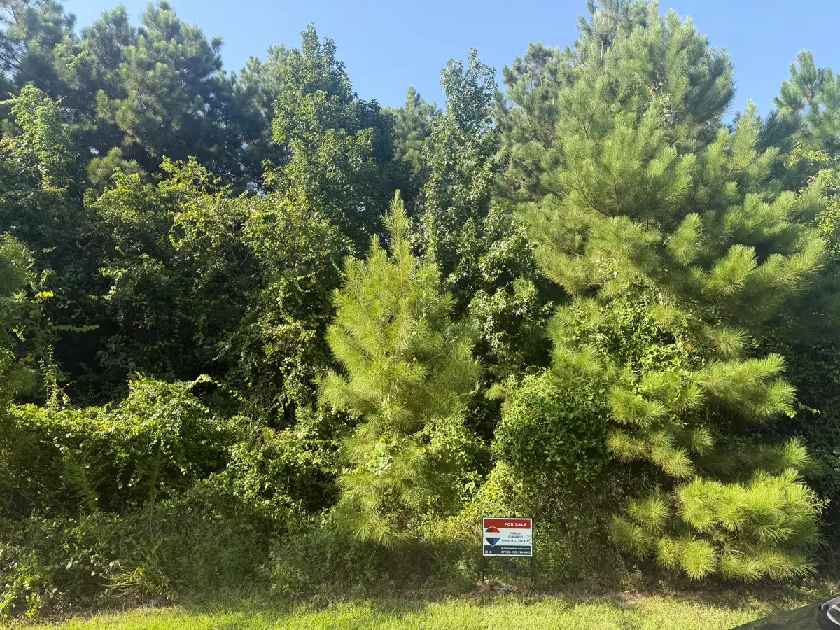 2303 County Road 3405, Cleveland, TX 77327 - #1