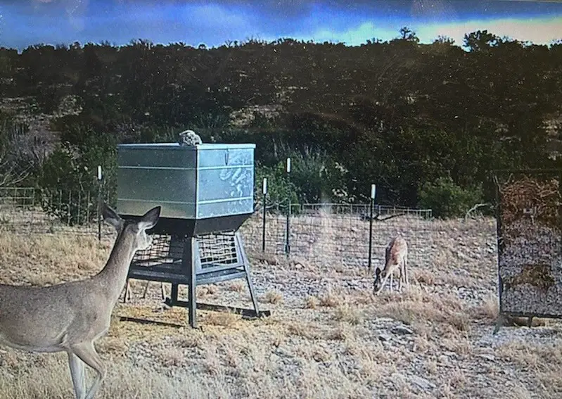 TBD High Lonesome Road, Comstock, TX 78837 - #3