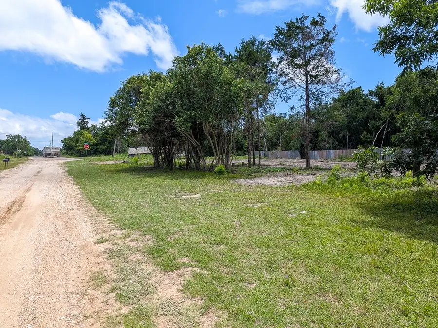 701 E Blackshear Street, Navasota, TX 77868 - #2