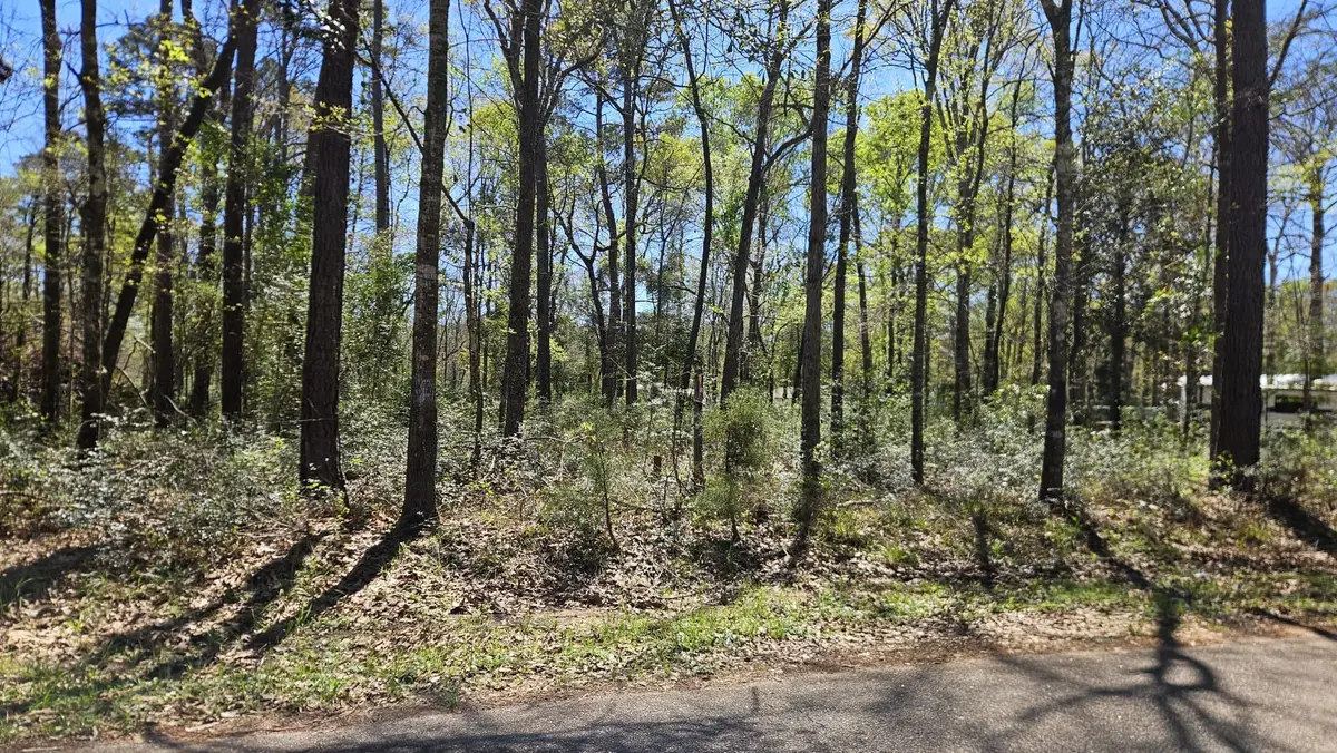 15566 Firewood Dr, Conroe, TX 77303 - #1