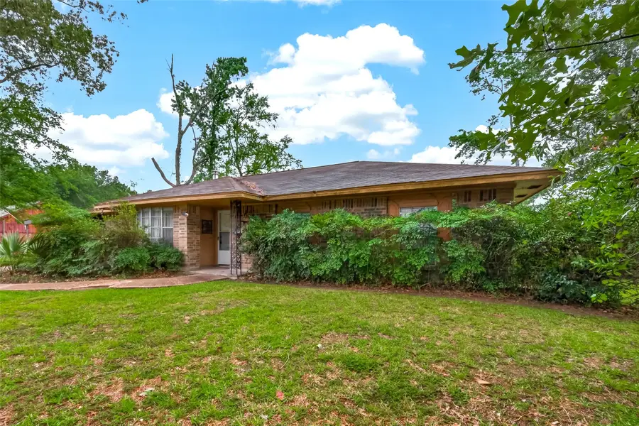 262 Magnolia Road, Woodbranch, TX 77357 - #3